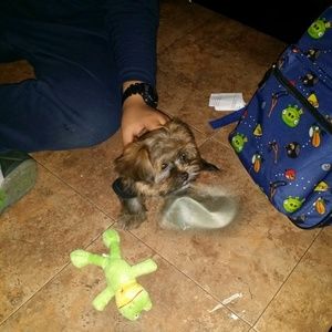 Meet your Posher, Dori